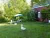 DSCN0010
