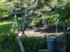 DSCN0019