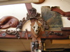 DSCN0047